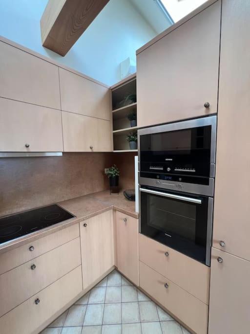 Old Town Apartment With Free Parking Vilnius Dış mekan fotoğraf